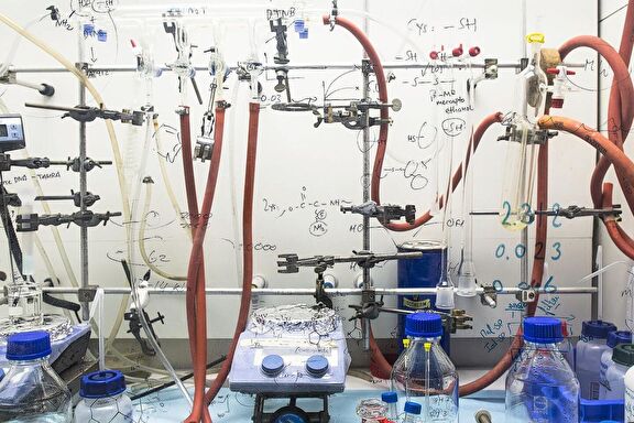 Labs
